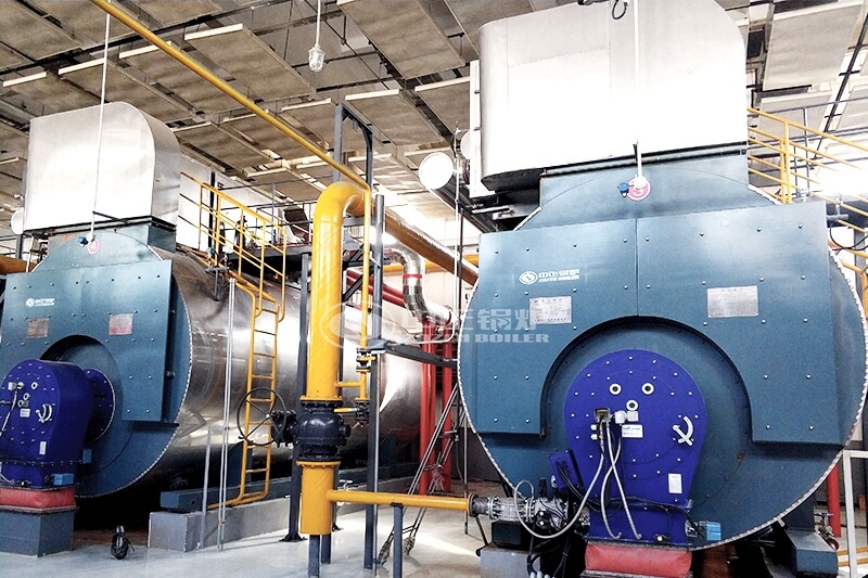 Horizontal coal fired Steam boiler for sale