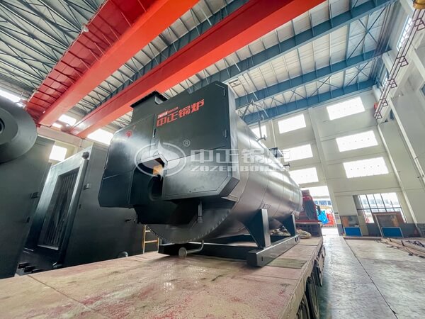 Industrial Coal Fired Steam Boiler Price for Green House