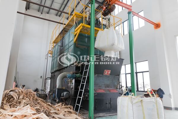 Wood Pellet And Wood Chip Fired Biomass Steam Boiler