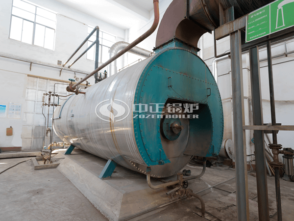 Widely used 20 ton horizontal forced circulation gas steam boiler for rubber industry