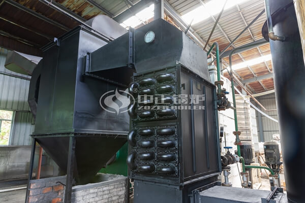 China factory Solid fuel coal fired steam boiler manufacturer